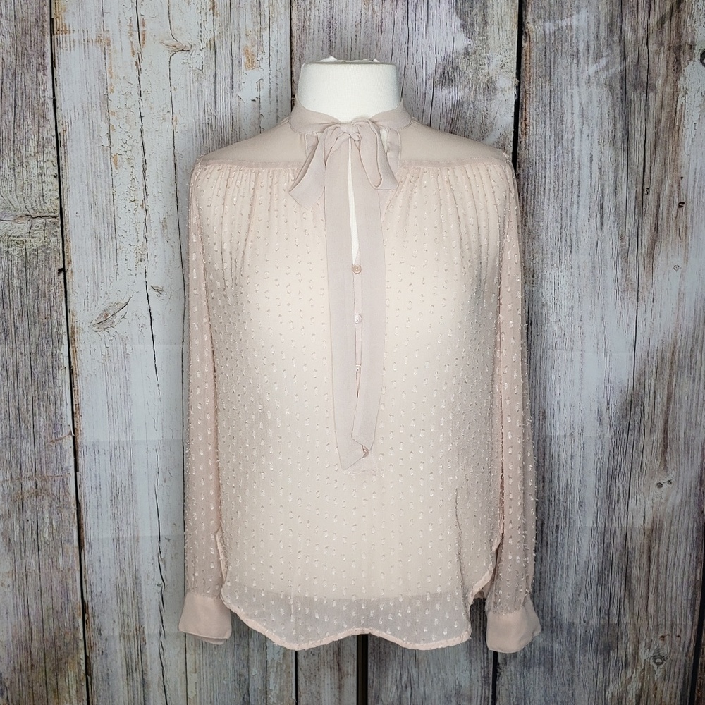 Kimchi Blue Sheer Pink Button Down Top